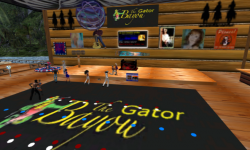 The Gator Bayou