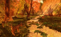 The Last Unicorn Experience