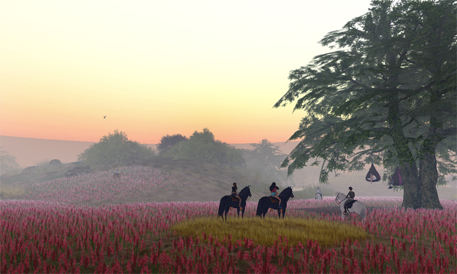 Noweeta Grassland