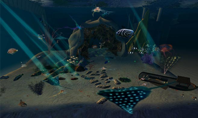 Deep Sea Marine Life