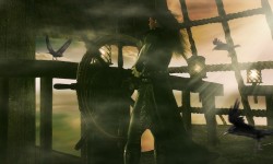 Siden Pirate Haven