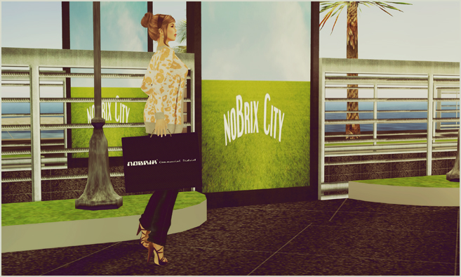 noBrix Commercial District