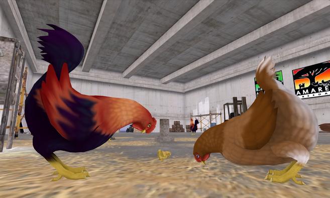 Barnyard Birds