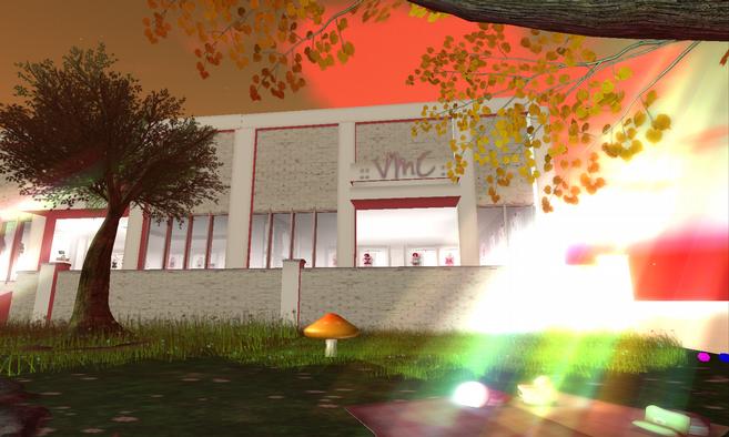 VMC Clothing and Skins