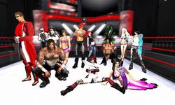 Virtual Wrestling Entertainment