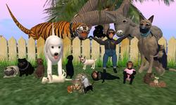 Paradise Pets - We Love Pets