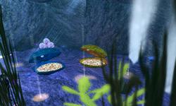 Secret Cave Under Beach Walk Cafe