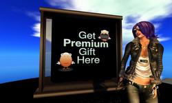 Premium Gift Kiosk - Nysray