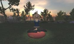 Meditation Retreat