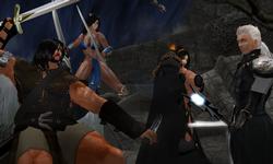 Knights and Amazons Fantasy Role-play