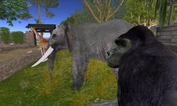 Zoo World