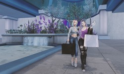 SL18B Shop & Hop - Gleaming Region
