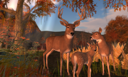 Enchanted Fantasy Fall